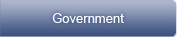 Government